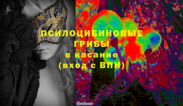 каннабис Каменногорск