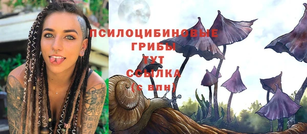 каннабис Каменногорск
